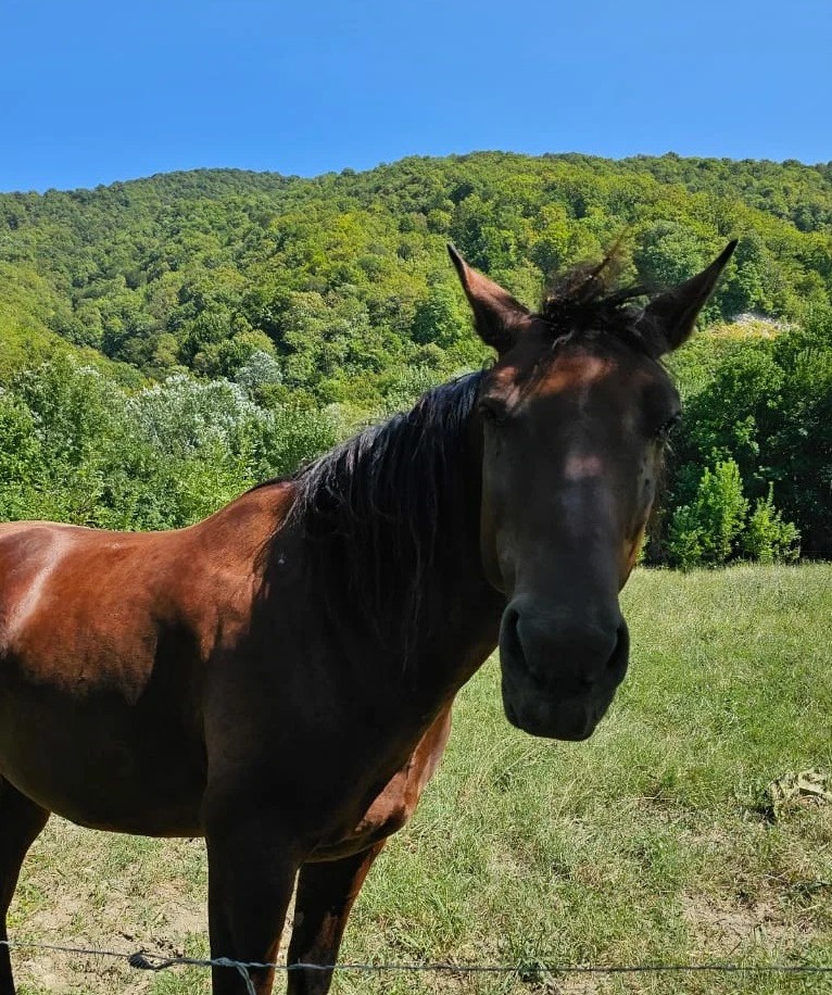 Орлиная скала