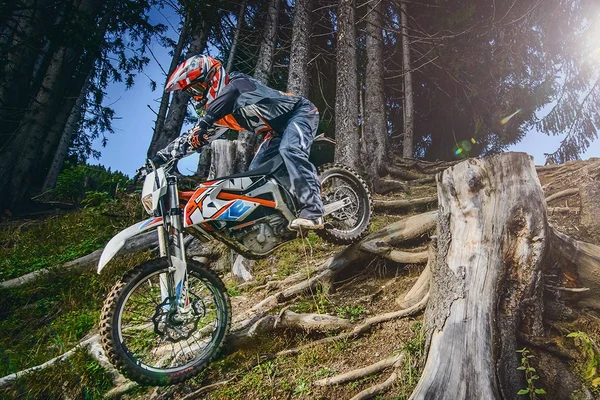 Свобода и адреналин