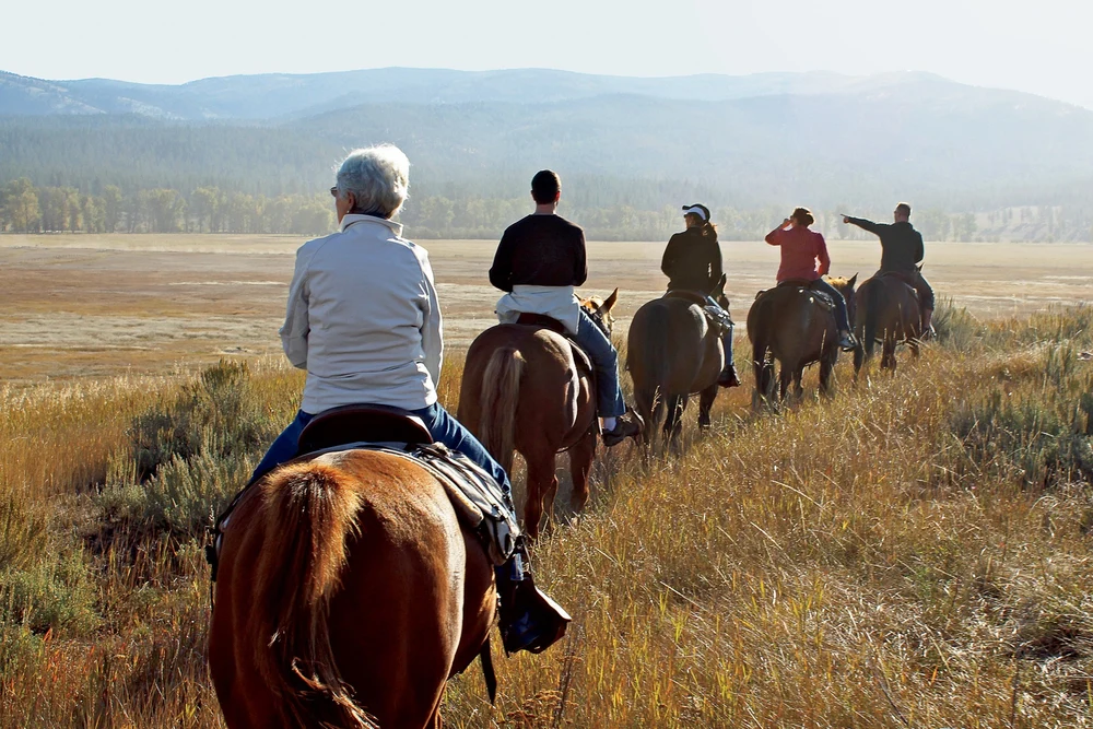 Конные прогулки