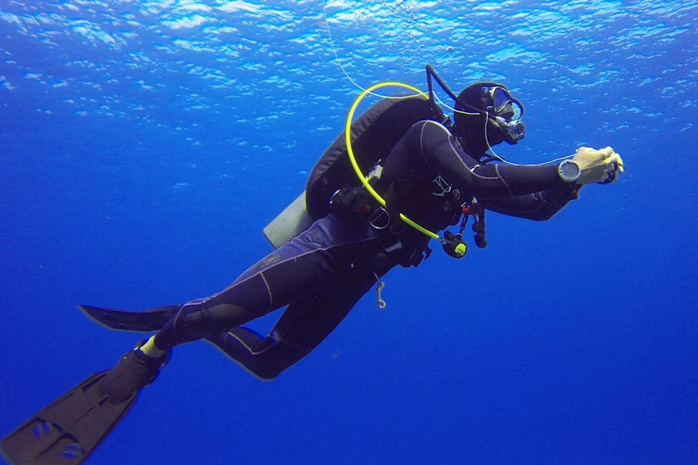 Дайвинг и морские прогулки